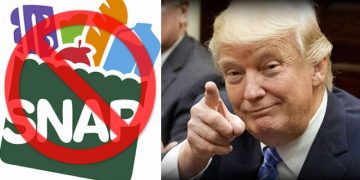 Trump negará visas y green cards a migrantes que reciben ayudas públicas