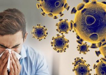 Coronavirus: hoja informativa y noticias